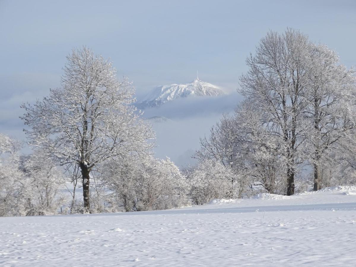 Logis Las Crozas La Poupe Vernines Dış mekan fotoğraf